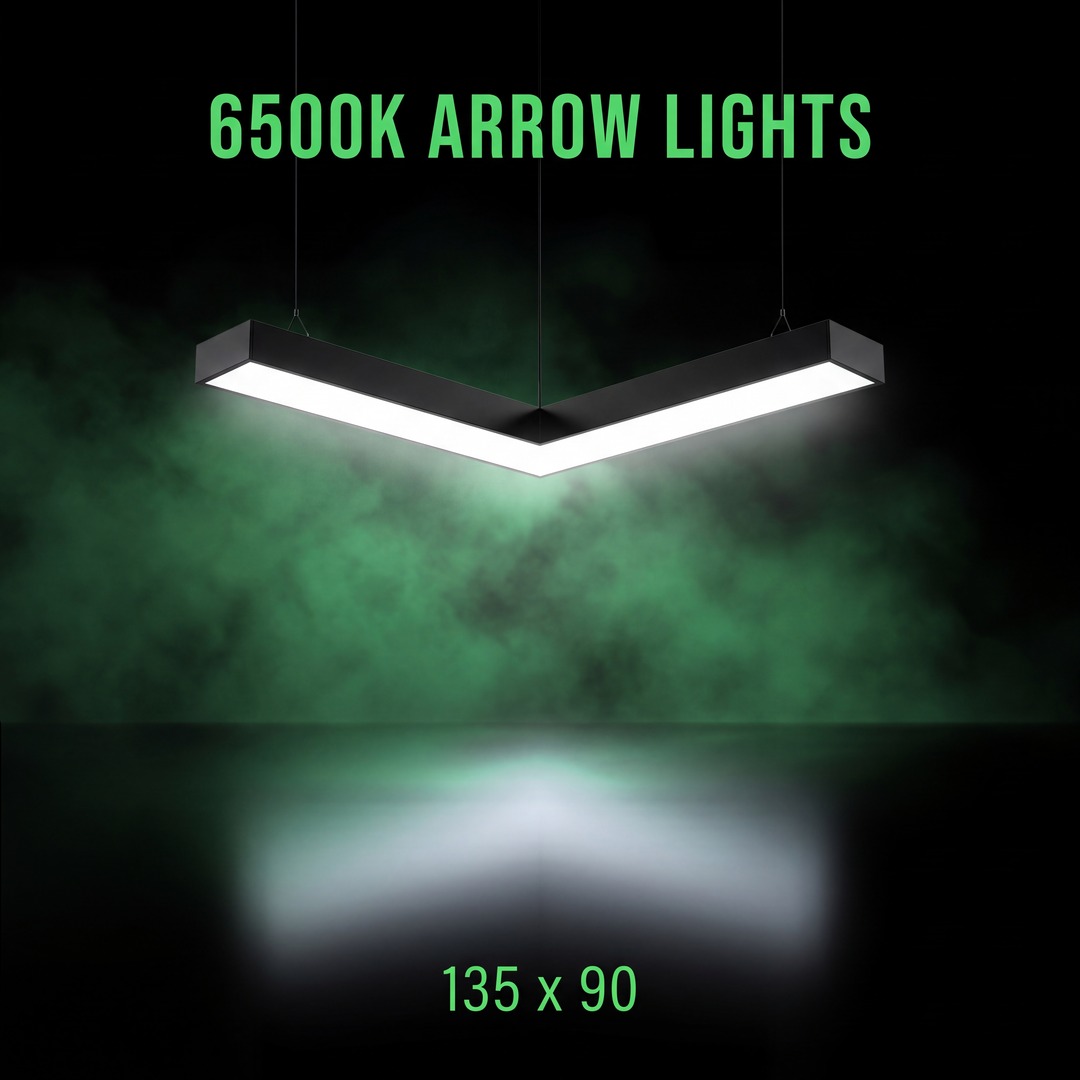 6500K Arrow Gym Lights